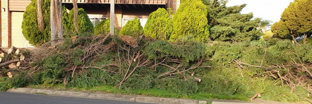 Skips for Green Garden Waste, Green Waste Skip Cost Hire Near Me, Garden Rubbish Skip