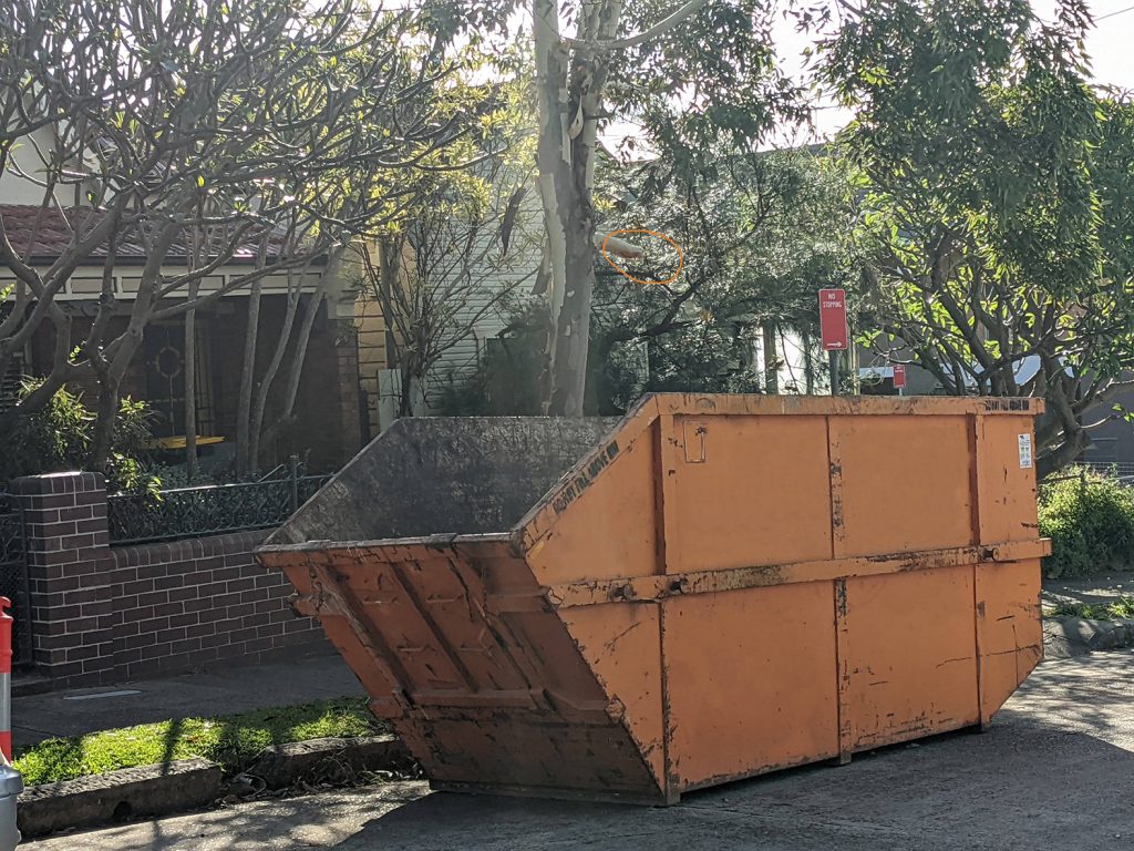 Castle Hill Skip bin hire, wrong skip bin for garden waste. Hook skip bin preferred